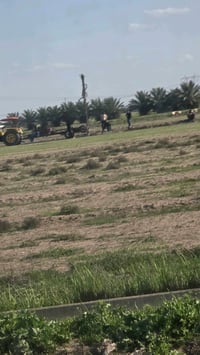 دوانم و مزارع في ابو غريب منطقة ١٠ مناصير اسعار مناسبة