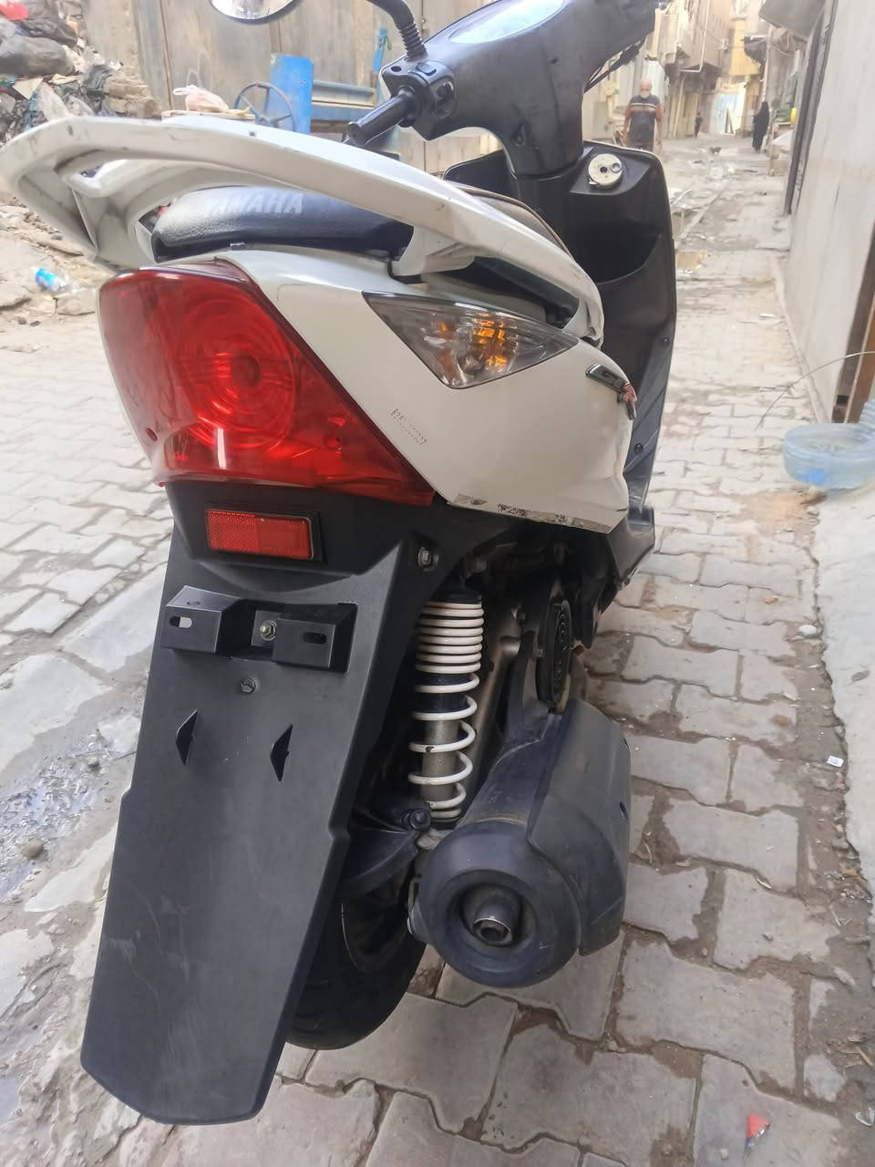 ثعلب • جيتي ار • كفاله
