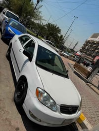كورلا نحلة • ٢٠٠٨ • وارد امريكي