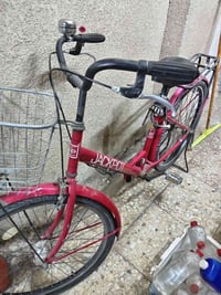 باسكال • أحمر • نظيف