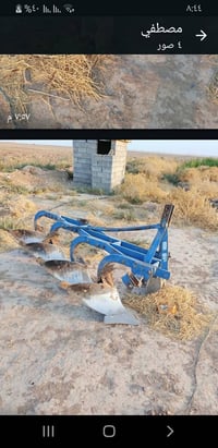 فدان البيرة • تركي • عرض ١٠