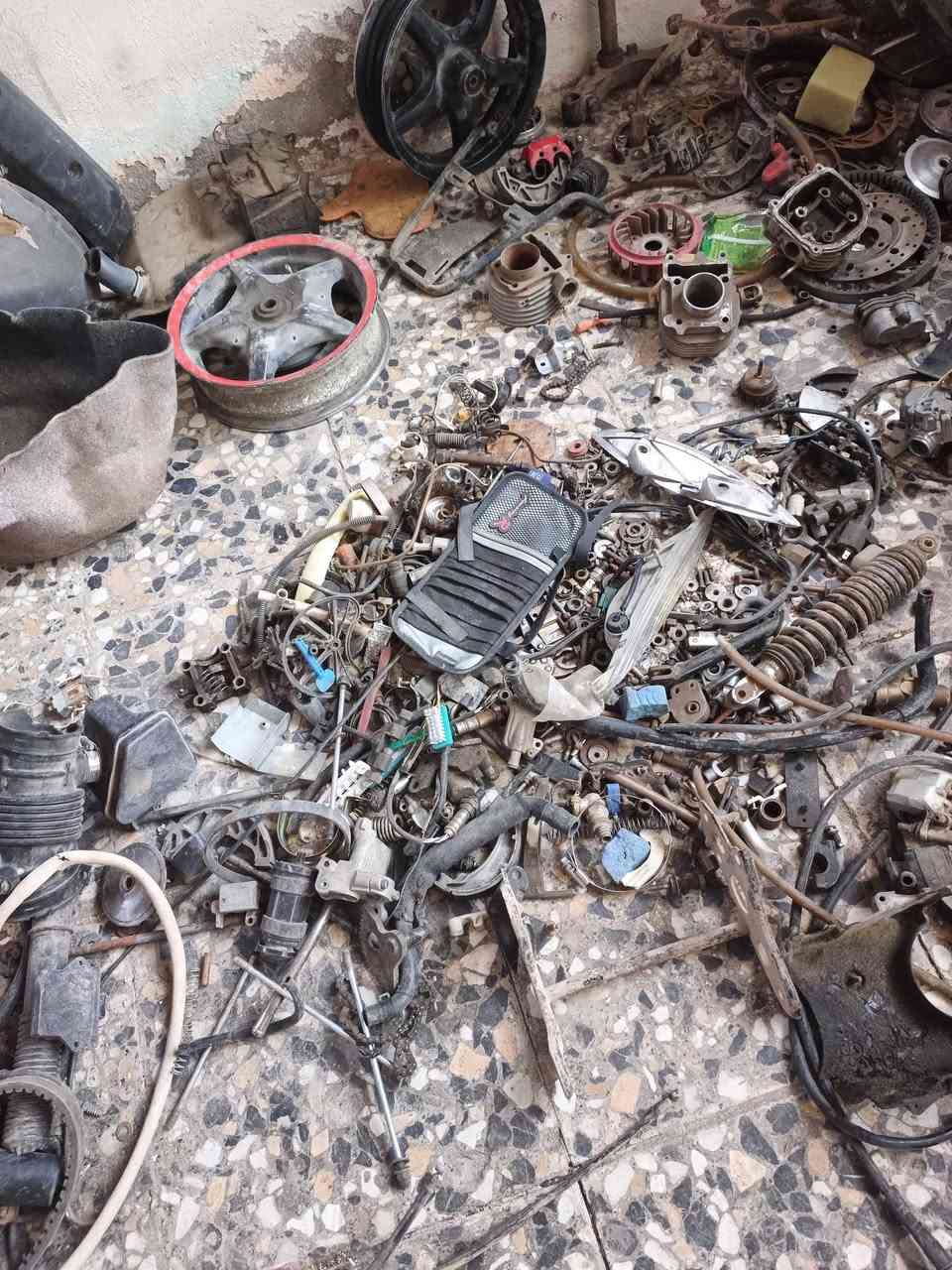 تفصيخ سكنز فحل ونثيه بغداد مدينة الصدر وهذا رقمي ***********
