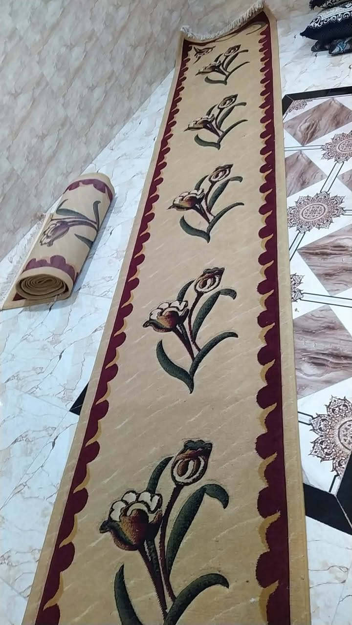 طخم • جداد • نظاف حيل