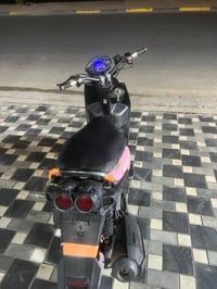 سكنس جبلي • مكفولة • معدل