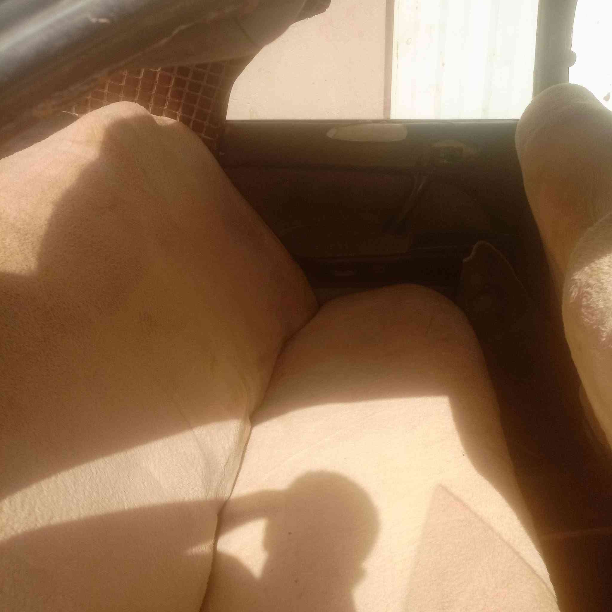 بطة.البيع.ومروس..السعر.25👉👉📞 ***********👉.مكان.النجف.التفاصل.على.الراقم
