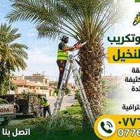 تكريب نخل • قطع أشجار • بستنة