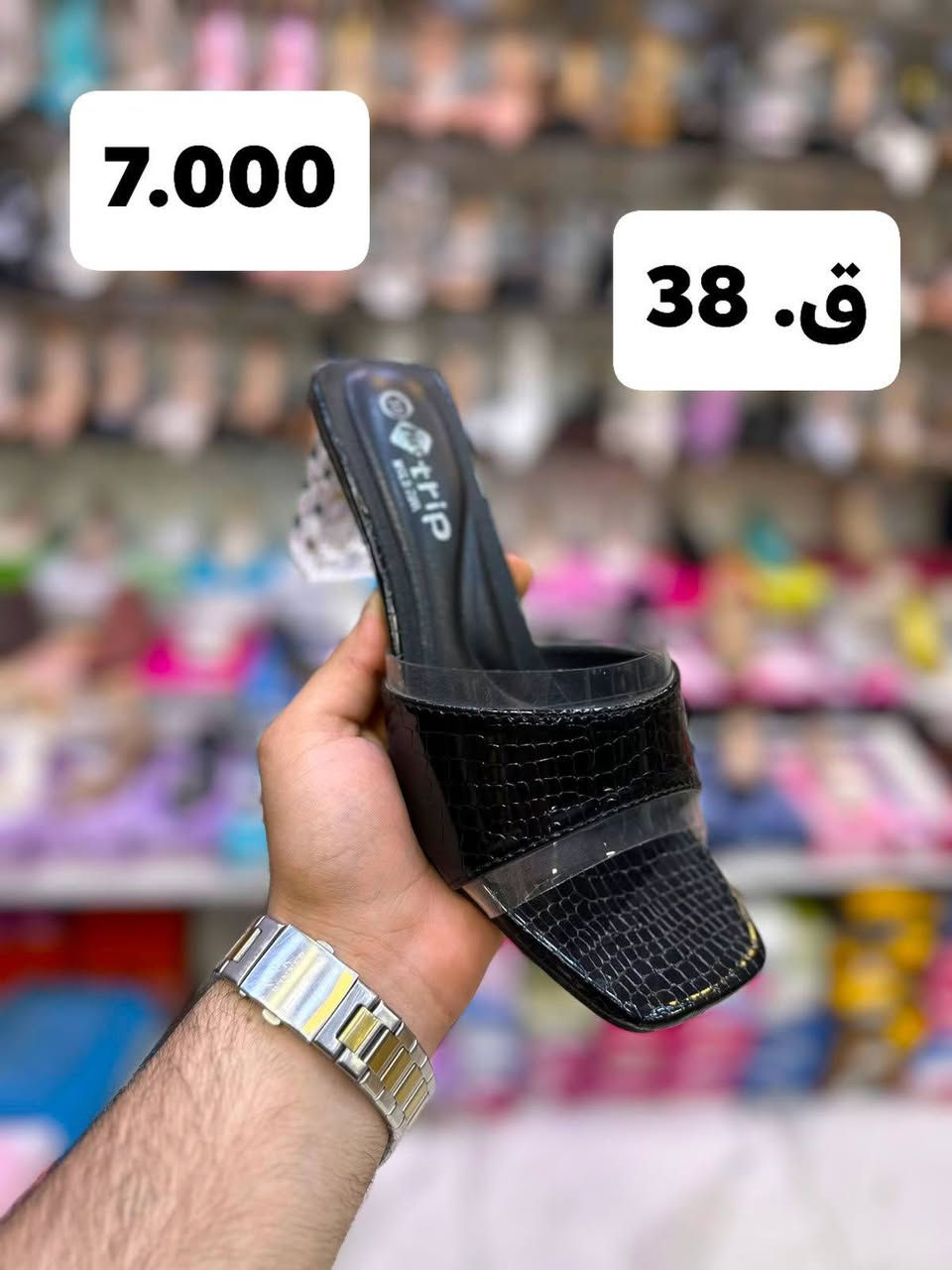 وصلتنا $   ، موديلات جديدة مختلفة 😍
أحدث الموديلات لـ 2026 
 
✅ تميزي بإطلالة جميلة وساحرة مع (#محلات_فاروق_عمر )

#تخفيضات 
يتوفر شحاطات تخفيضات 
القياسات فقط داخل الصور 
سعر القطعه 7 الاف

🌺 تواصلي عبر الخاص واطلبيه الآن قبل نفاذ الكمية او واتس ***********

العنوان/ الفلوجة  شارع كراج الفورتات خلف الحديقه العامه قرب___ مول الوليد___
تتوفر خدمة التوصيل لكل العراق ب🚕
إلى بغداد خلال 24 ساعة - وإلى المحافظات خلال 48 ساعة
