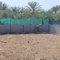 ثيل طبيعي • توصيل مجاني • نوعية ممتازة
