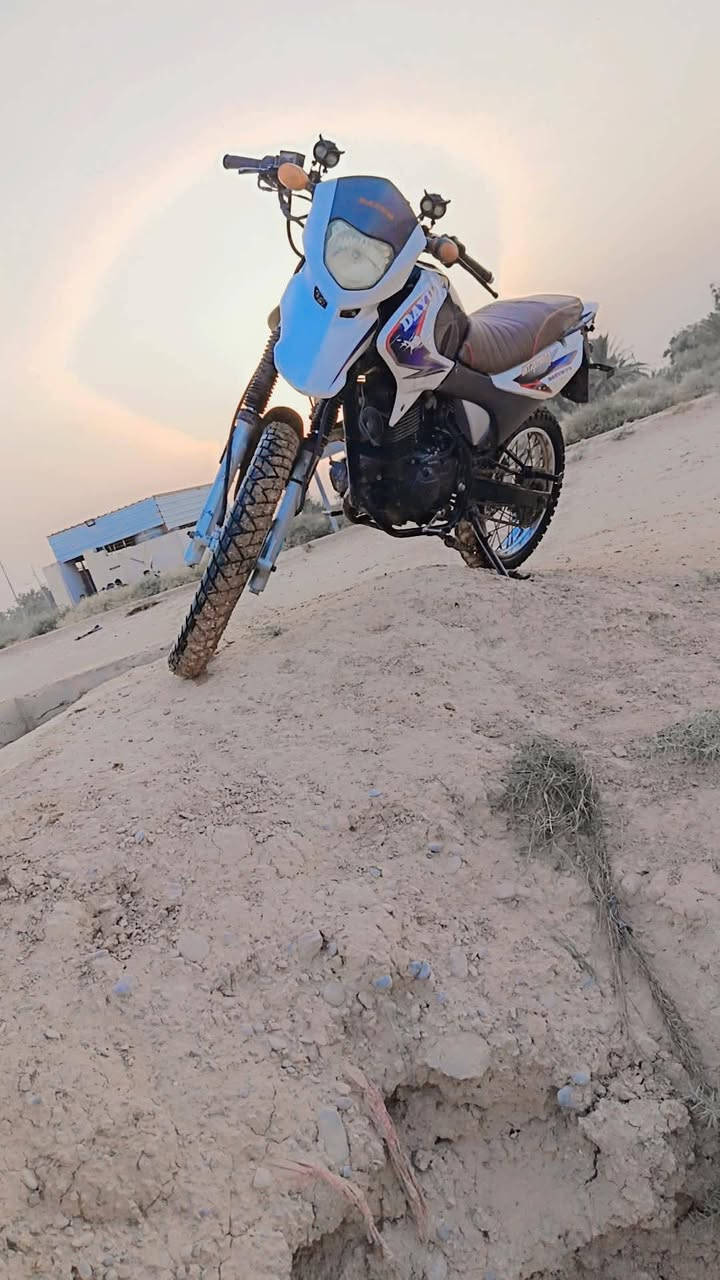 دراجه • للبيع • سنويه