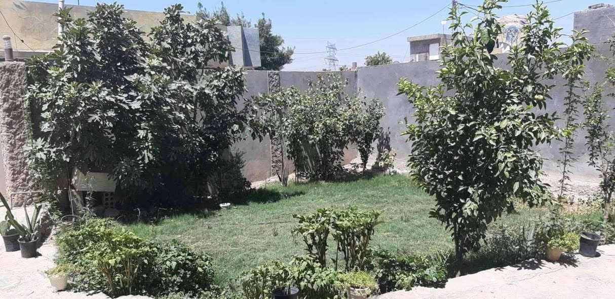 ٤٠٠م • طابو زراعي • قرب العلوية الشريفة