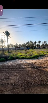 بستان الكبيسي • الفحامة • ٢٥٠٠م