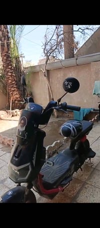 ٢٠٢٤ • ٣٠كم • بغداد شهداء البياع