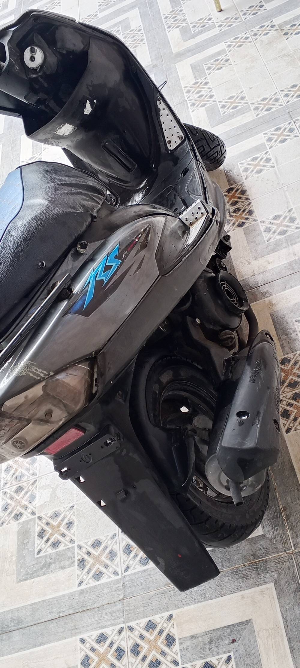 ماكس • نضيفه • بوش ابلادي