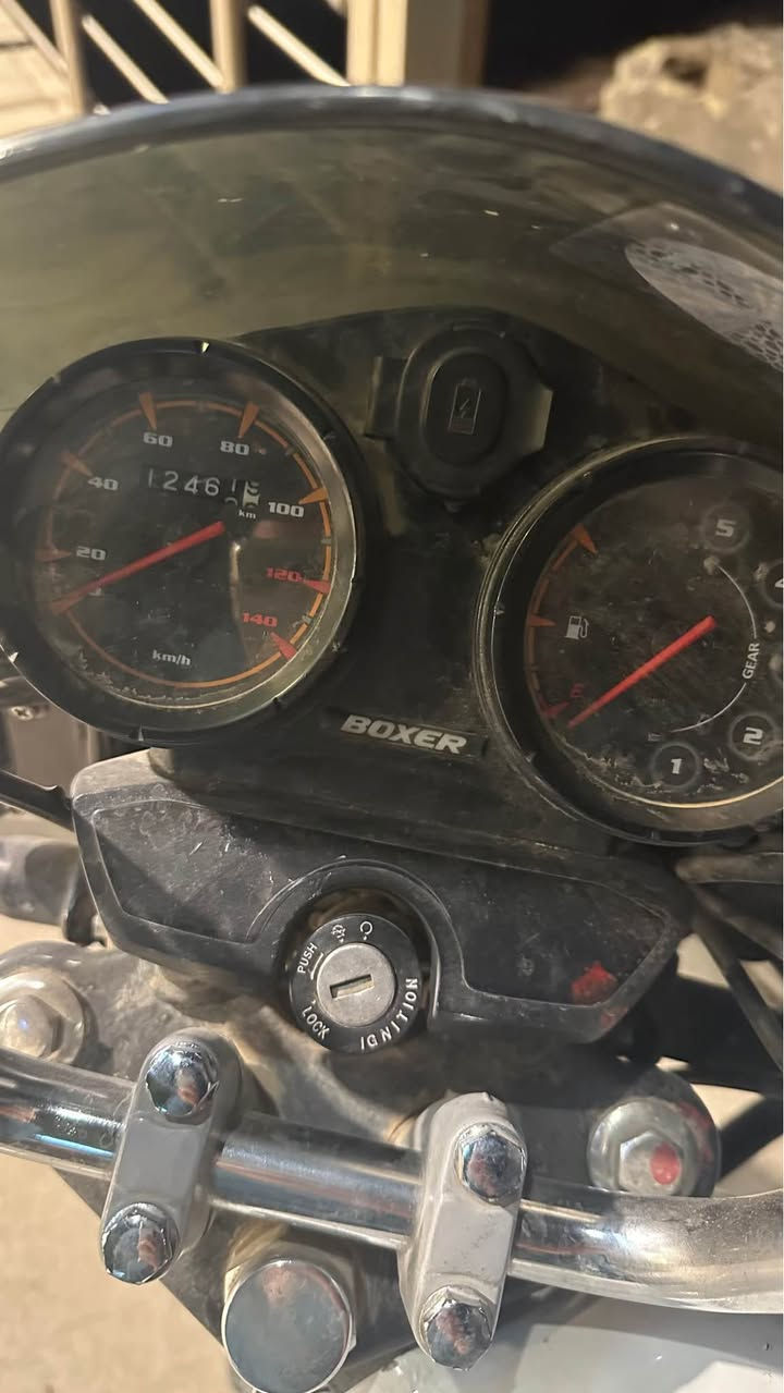 بوكسر • ٢٠١٩ • ١٢ الف