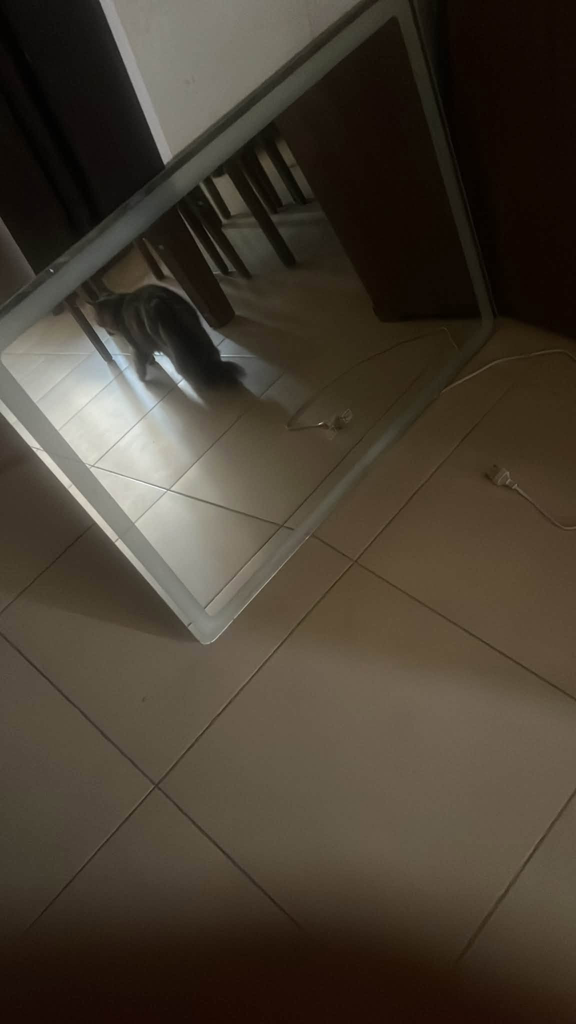 صوبات للبيع  تواصل على الرقم ***********
