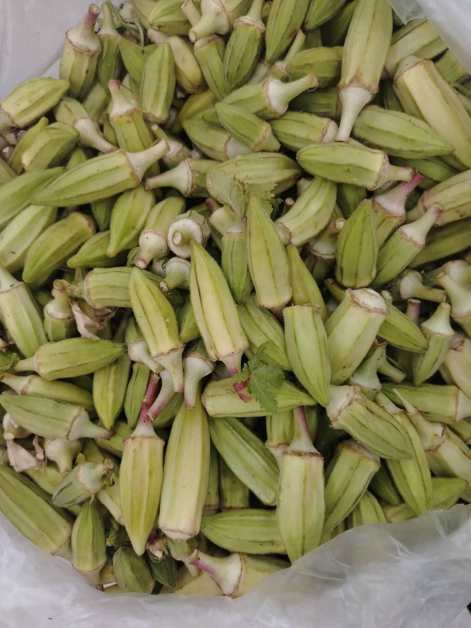 بامية • بنجان دولمه • توصيل