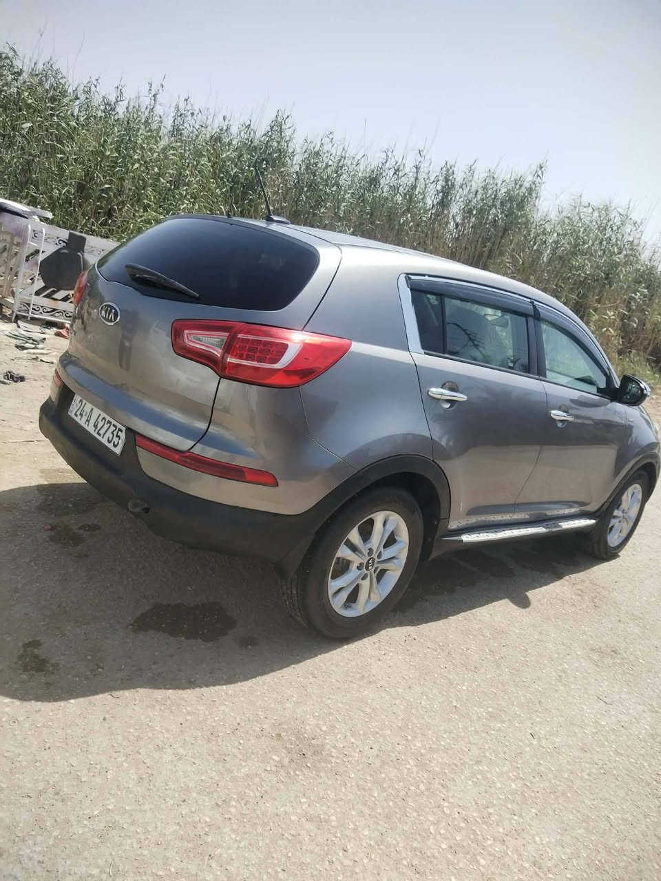 سبورتج • ٢٠١١ • وارد امريكي