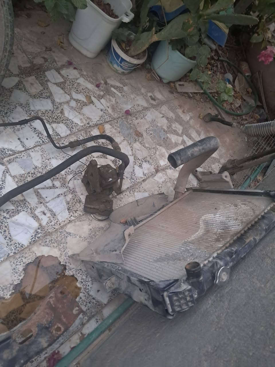 تفصيخ كيا بستا 
نجف 
***********
