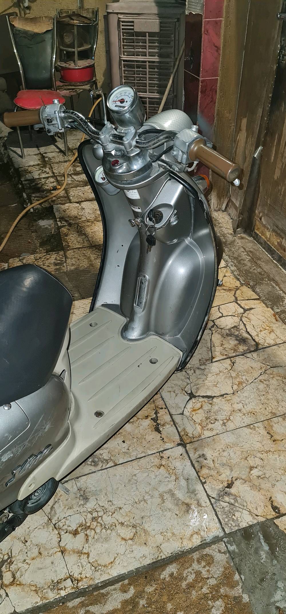 كلاسك • فحل • بدون باتري