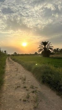 🌿 مزرعة للبيع 🌿 فرصة لا تُعوّض لامتلاك مزرعة بموقع مميز، مناسبة   الاس...