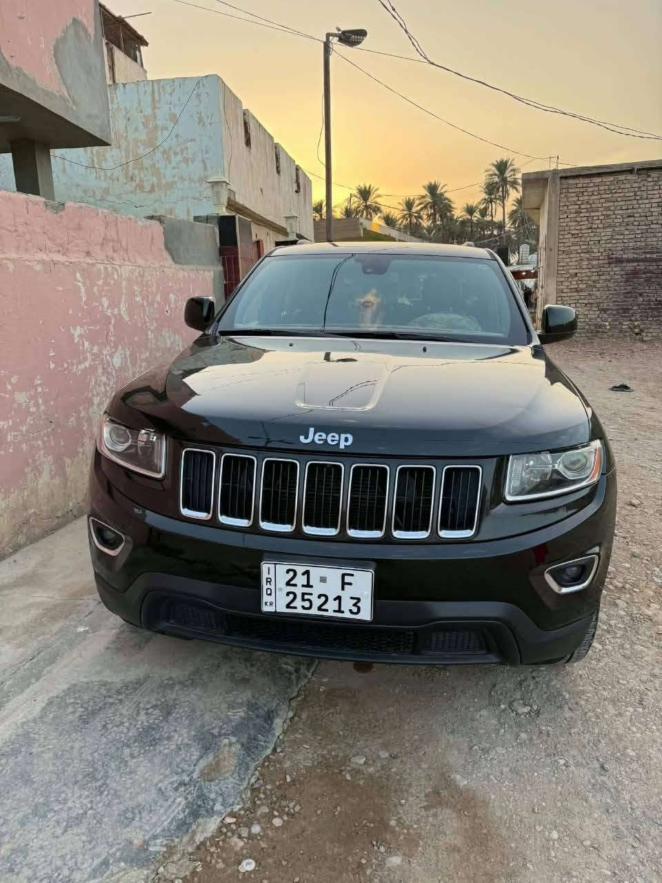 جيب • موديل ٢٠١٦ • بدون صبغ