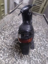 فراشة فحل • المجر الكبير