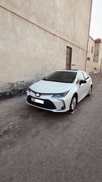 كورلا GLi • ٢٠٢٥ • رقم اربيل