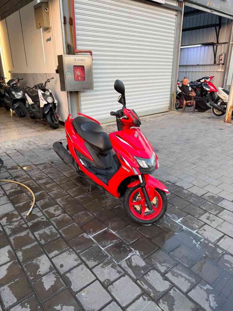 معرض الواثق لتجارة الدراجات النارية 
متوفر ياماها سكنس الجيل الخامس
رقم بغداد مشروع وطني تحويل مباشر 
هزة وفحص متانة جديد 
جاهزة وكاملة على اخر حباية 
***********
***********
السعر 32 ورقة
