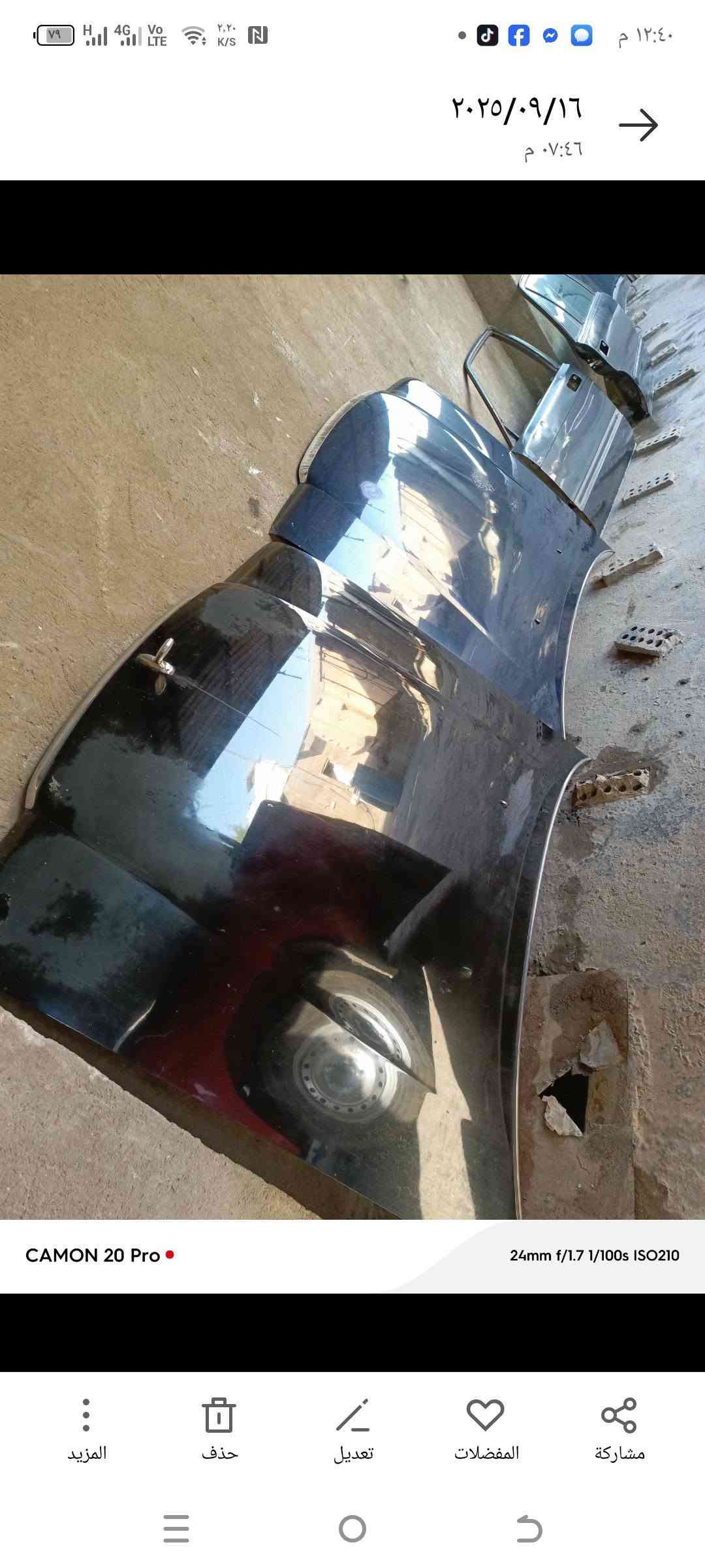 بغداد • غراض أرنب • رأس ثور