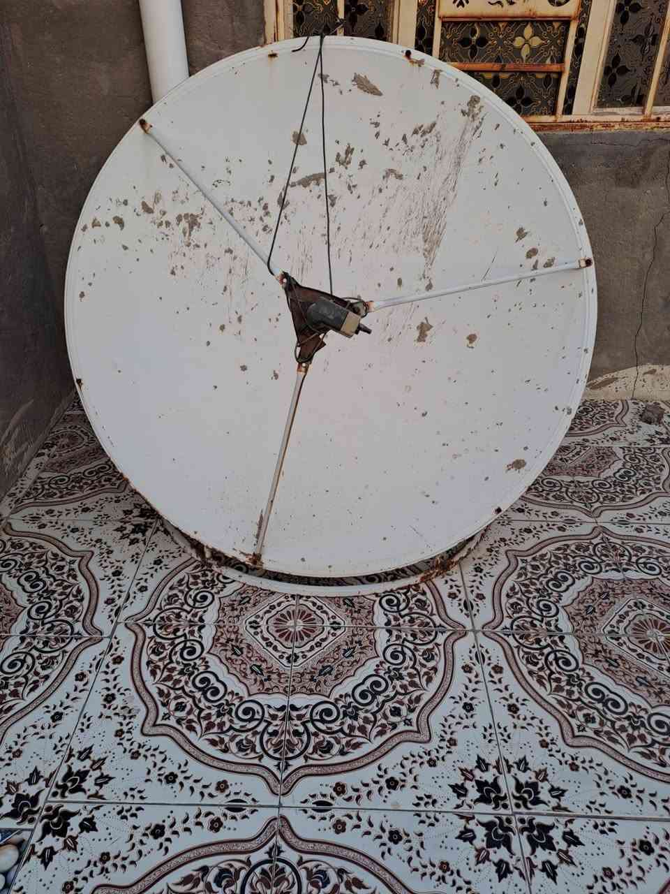 قيم وخذ كلهن اصلايات شرط
