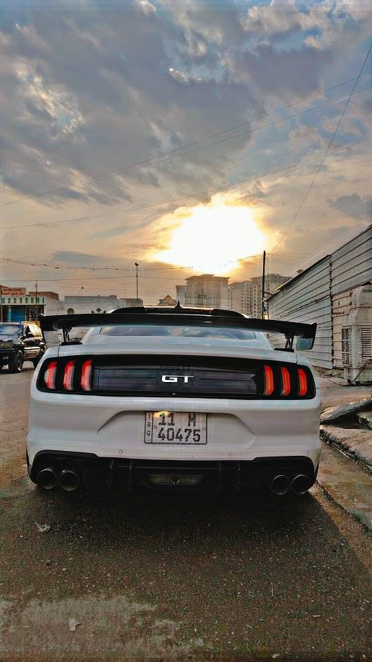 موستنك GT • ٥.٠ V8 • ١٥ ألف كم