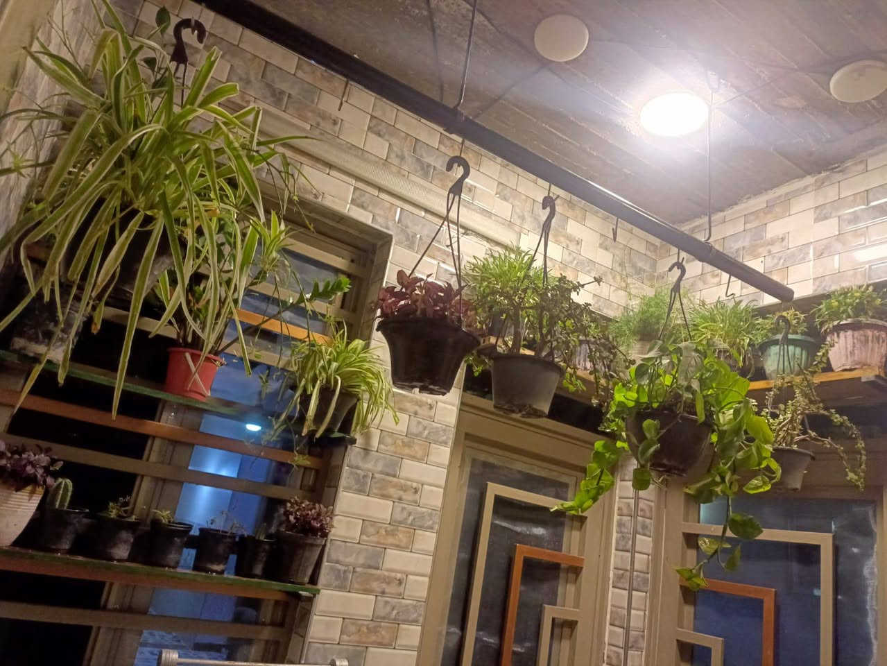 بيت ١٠٠متر ×١٤يحتوي على طارمه وحمام خارجي وداخلي مع استقبال ومطبخ وحولي وغرفه ومنور الخطيب الزراعي شارع خوله بفرع ابو قصي الدلال للاستفسار الاتصال على الرقم التالي اوخاص ***********
