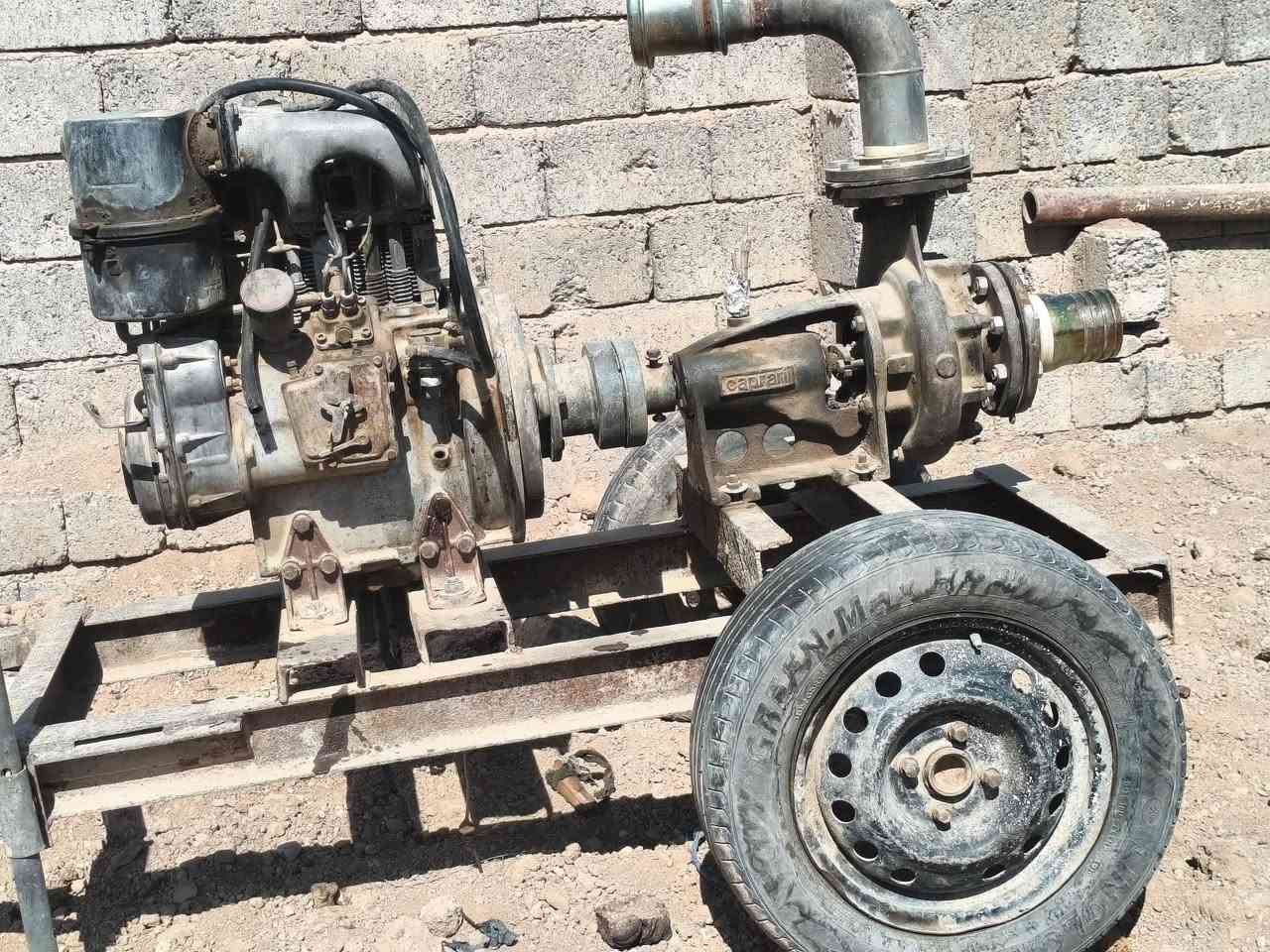 دويز بستنين تونسي • معمر جديد • ويل ١٤