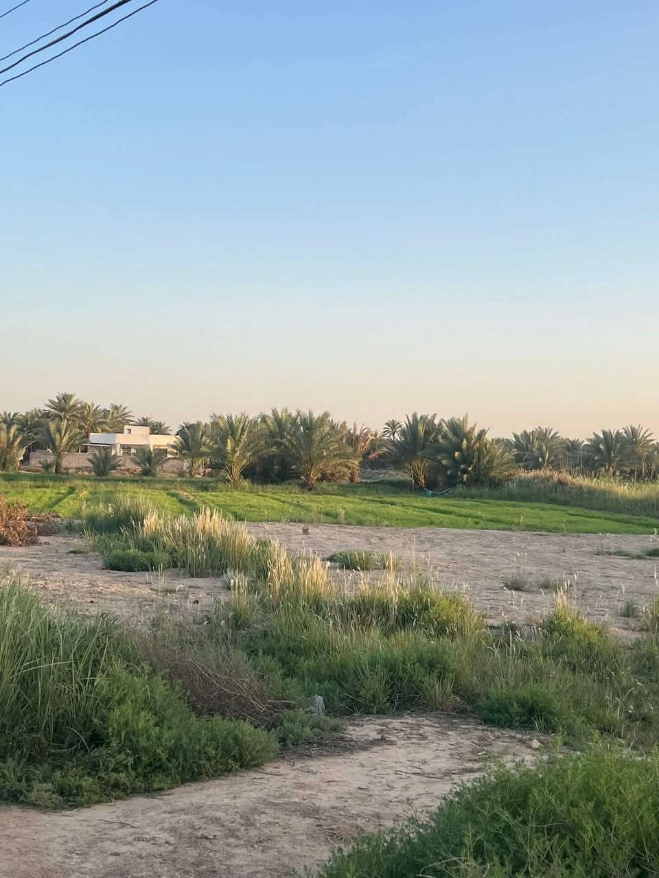 ارض مساحتها 1000متر طابو زراعي سند 25
🏠🏠صالحة للسكن🏠🏠!
📍تحويل ب اسم المشتري مباشر "
📍واجه 40متر 🍁🍁
📍نزال  30متر 🍁🍁
ممكن تنباع نص القطعه
📍الموقع بابل قضاء المحاويل /الفندية تبعد  عن طريق الفندية الرئيسي 70متر وعن سايدين حلة بغداد 500 متر ،قرب الصيدلية 
للاتصال ***********
