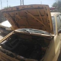 تفصيخ • دشبول • بيبان كاملات
