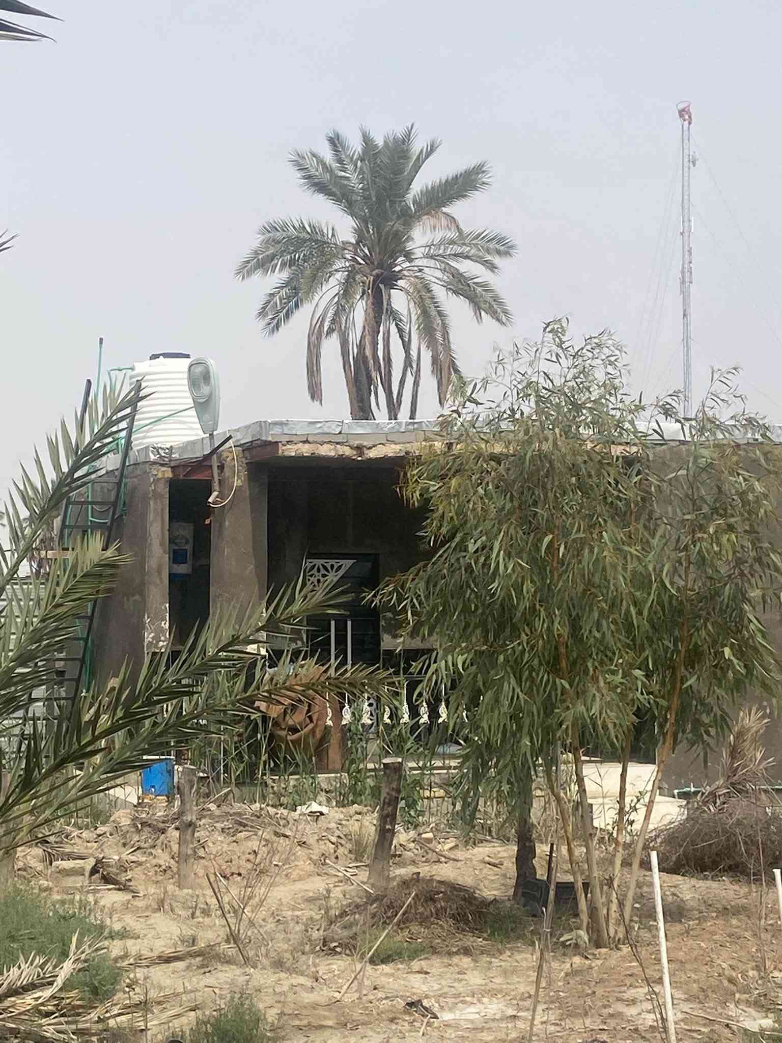 ١ دونم • شط العرب • ٨٠ نخلة