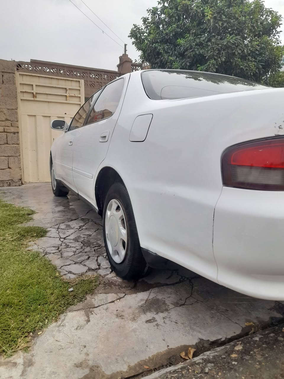 كرستا • ١٩٩٢ • كركوك دولي