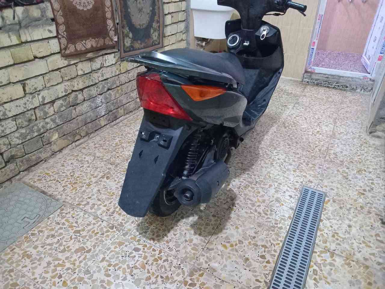 ثعلب • كفاله عامه • مكفوله