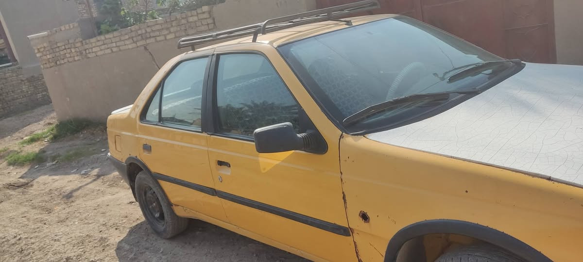 بيجو روا • ٢٠٠٩ • ابو غريب