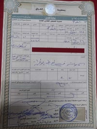 السياحة • ٢٥٠م • باسمي