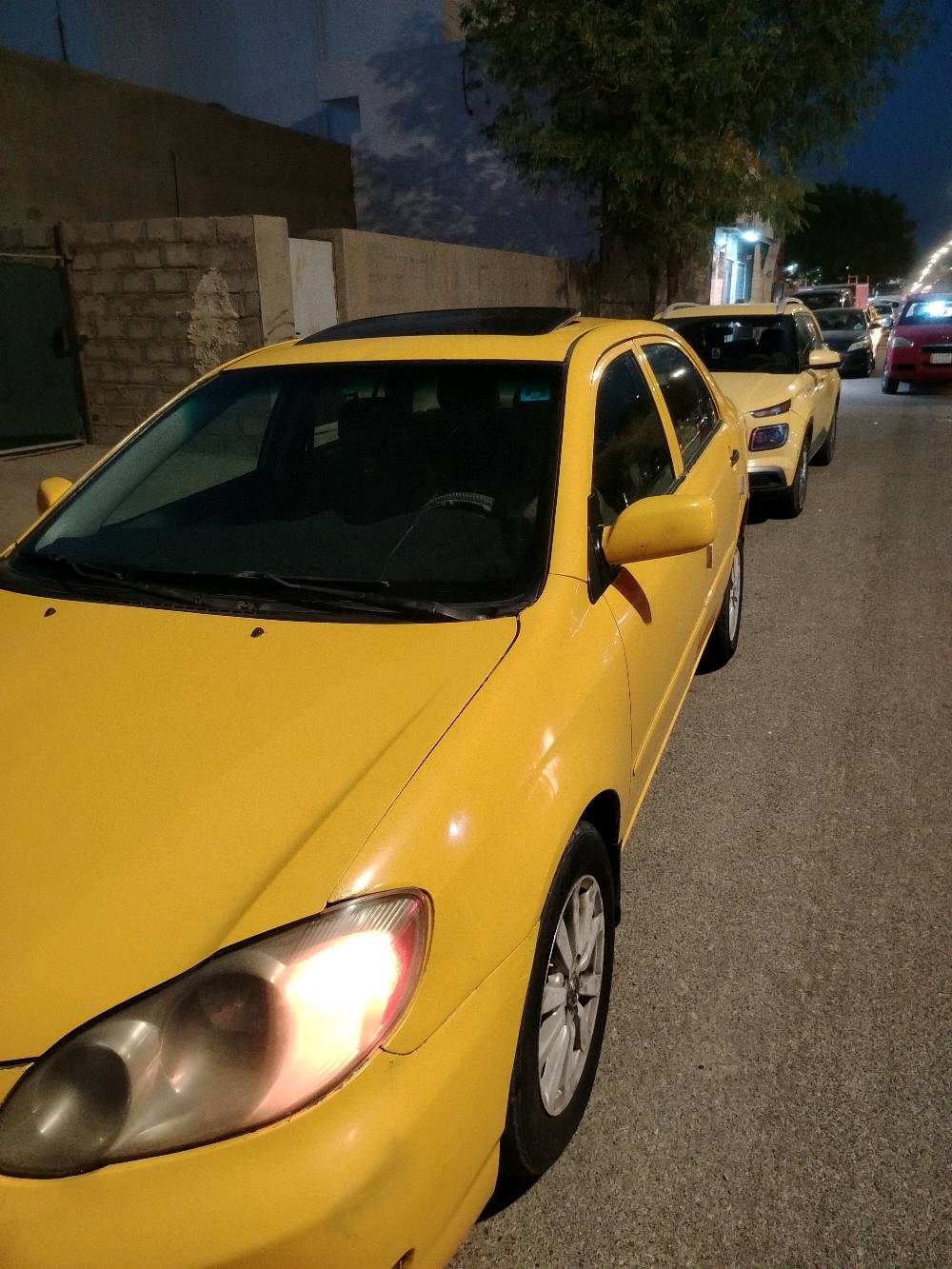 كورلا نحلة • ٢٠٠٧ • رقم انكليزي