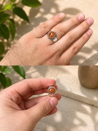 عقيق يماني • مشمشي • جميلة بغداد
