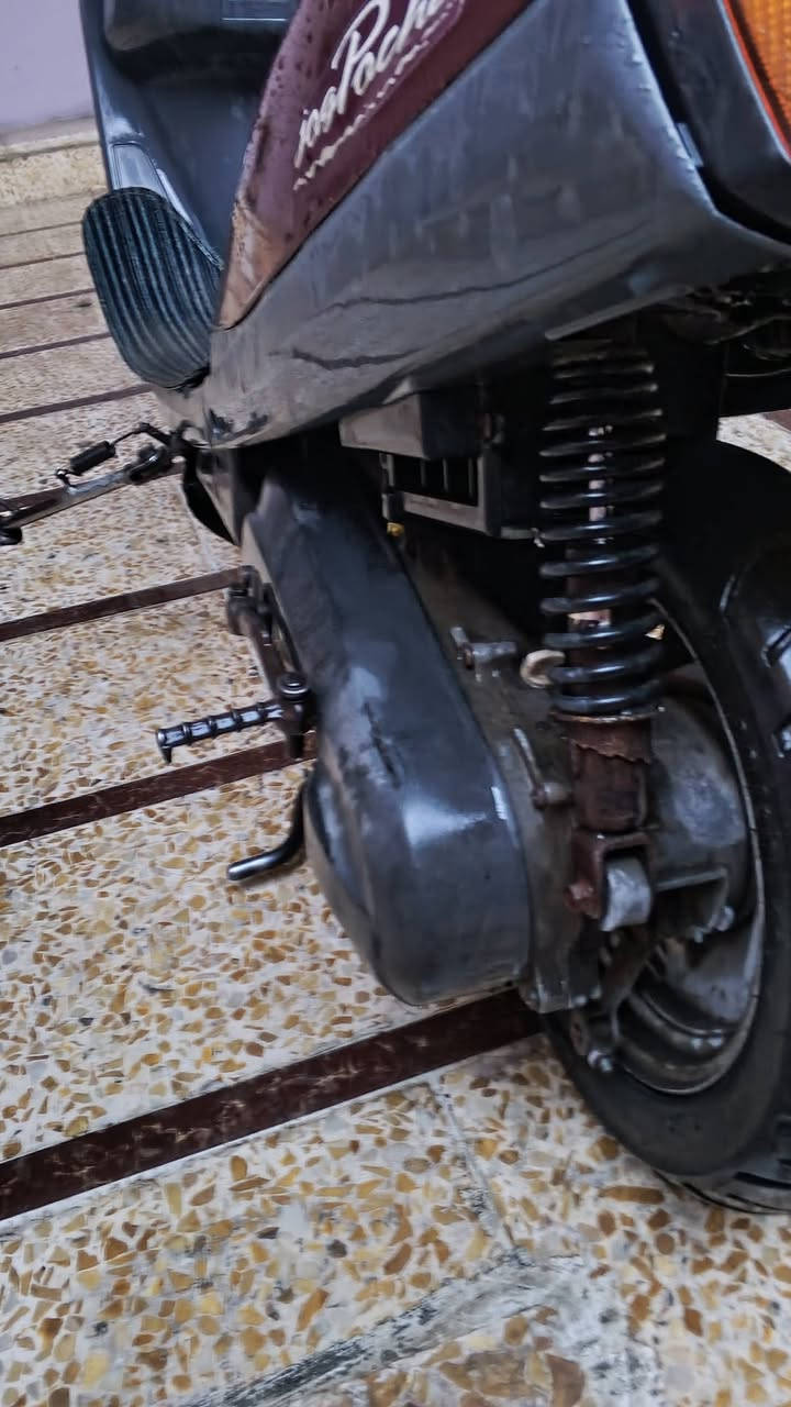 شاص • محرك مفتوح • جهاز شرط