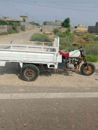 ستوته كلك • ٢٠١٣ • النصر