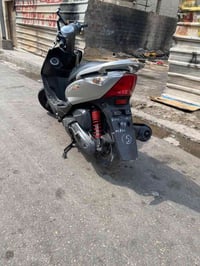 ثعلب • رمبه • جديدة