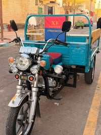 ستوته • ٢٠٢٦ • تموز