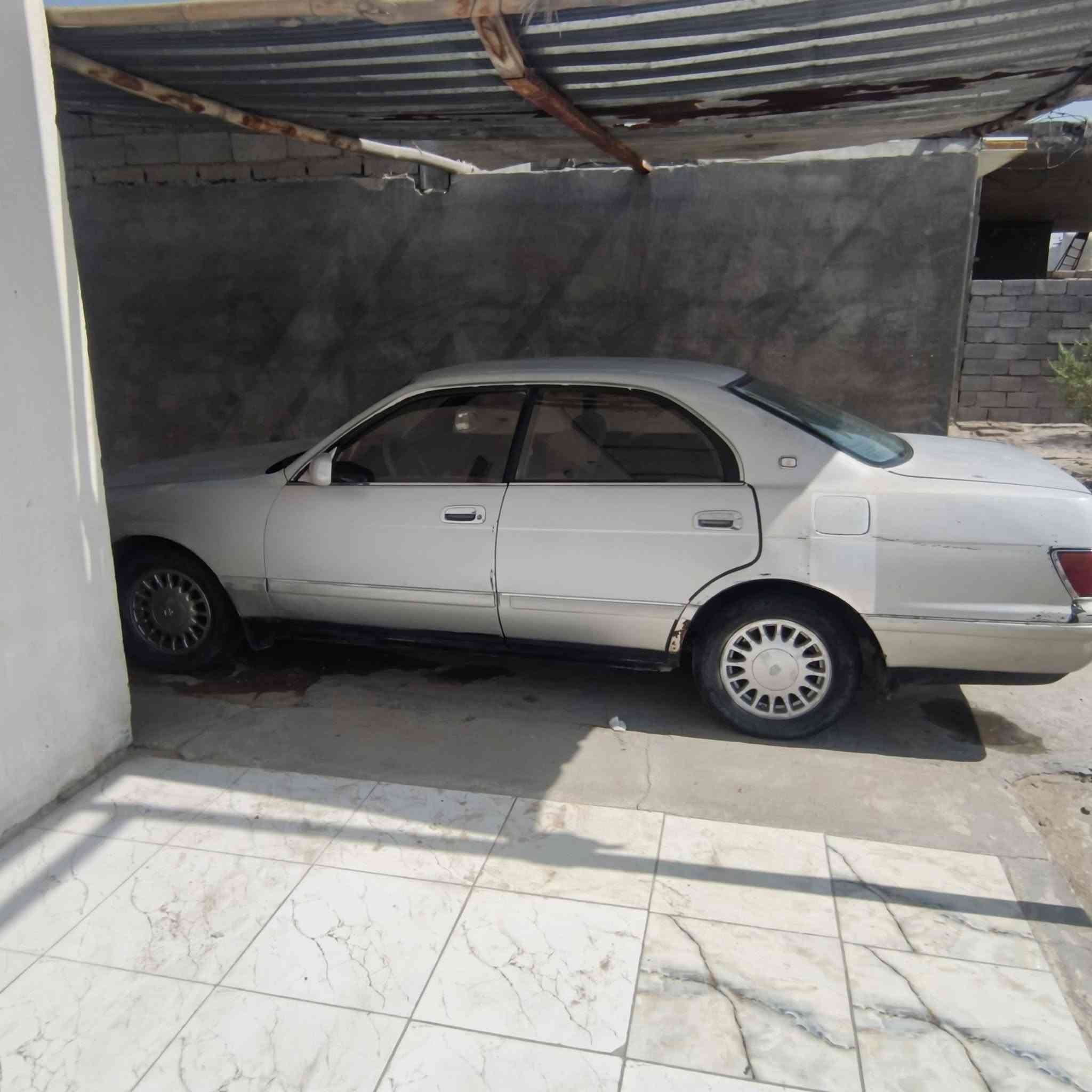بطة • مكفولة • نقل جثة