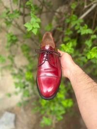 ابولو • مقاس ٤٣