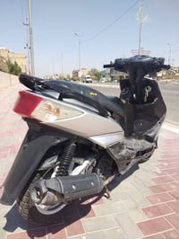 سكنس فحل • ياباني • ٢٠٠٨
