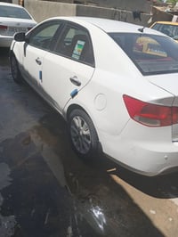 سيراتو • ٢٠١١ • صبغات